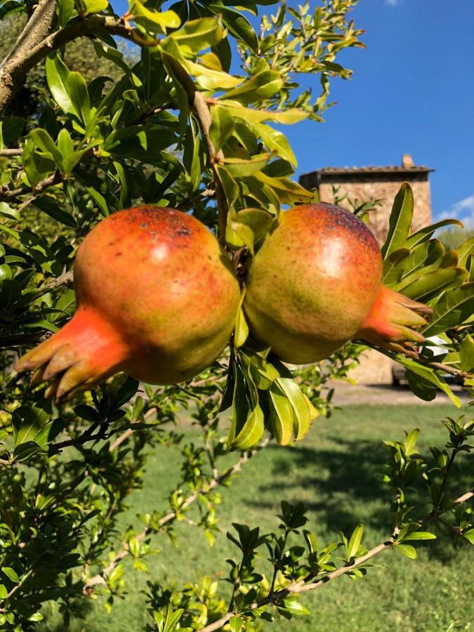 Mulino In Chianti Διαμέρισμα Gaiole in Chianti Εξωτερικό φωτογραφία