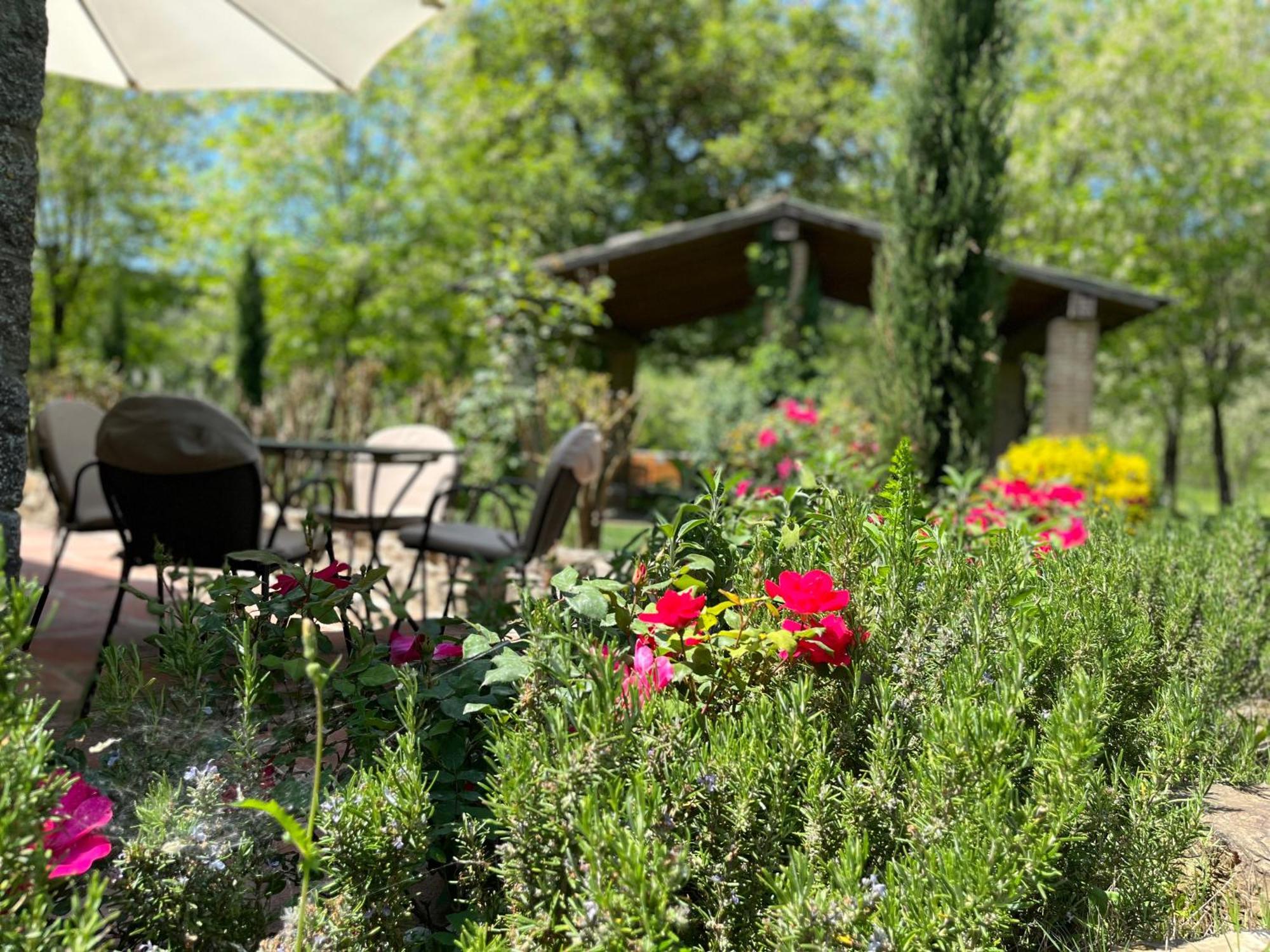 Mulino In Chianti Διαμέρισμα Gaiole in Chianti Εξωτερικό φωτογραφία