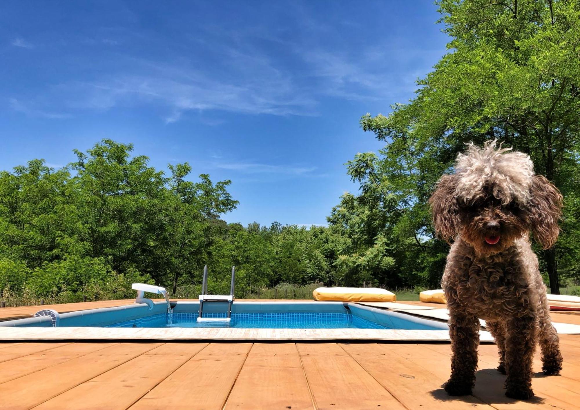 Mulino In Chianti Διαμέρισμα Gaiole in Chianti Εξωτερικό φωτογραφία